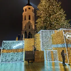 Vilnius Cathedral and Bell Tower - Vilnius