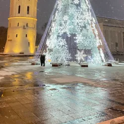 Vilnius Cathedral and Bell Tower - Vilnius