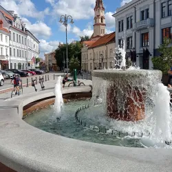 Vilnius Old Town - Vilnius