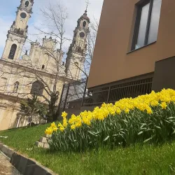 Vilnius Old Town - Vilnius