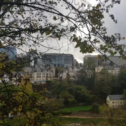 Grund District - Alzingen