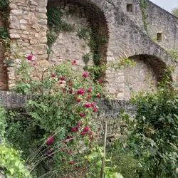 Grund District - Alzingen