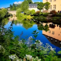 Grund District - Alzingen