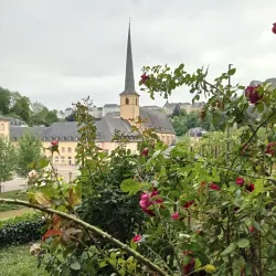 Grund District - Alzingen