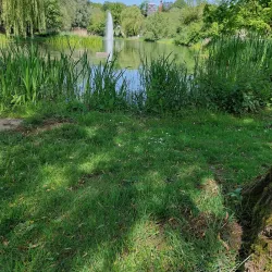 Kiem Park - Alzingen