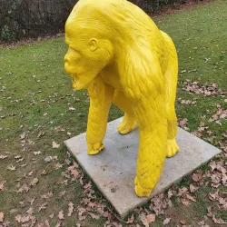 Kiem Park - Alzingen