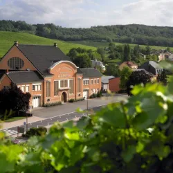 Moselle Wine Region - Alzingen