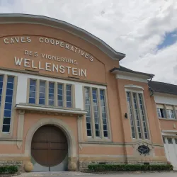 Moselle Wine Region - Alzingen