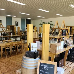 Moselle Wine Region - Alzingen