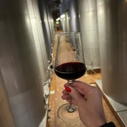 Moselle Wine Region - Alzingen