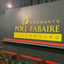 Moselle Wine Region - Alzingen