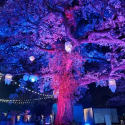 Château de Bascharage (Bascharage Castle) - Bascharage