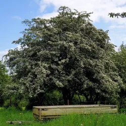 Sentier Nature Bascharage - Bascharage