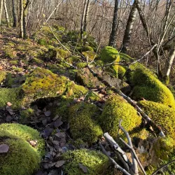 Sentier Nature Bascharage - Bascharage