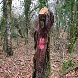 Sentier Nature Bascharage - Bascharage