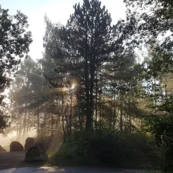 Alzette River Walks - Belvaux