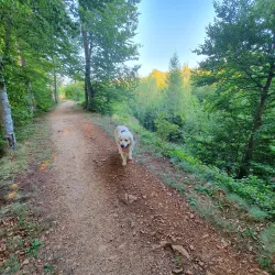 Alzette River Walks - Belvaux