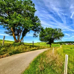 Esch-sur-Alzette - Belvaux