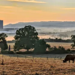 Esch-sur-Alzette - Belvaux