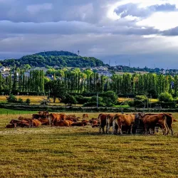 Esch-sur-Alzette - Belvaux