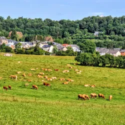 Esch-sur-Alzette - Belvaux