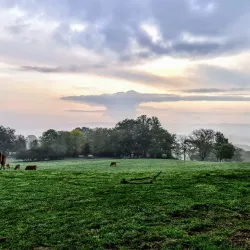 Esch-sur-Alzette - Belvaux