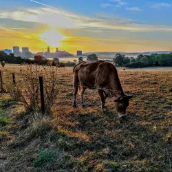 Esch-sur-Alzette - Belvaux