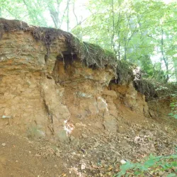 Parc Belvaux - Belvaux