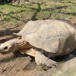 Parc Merveilleux - Belvaux