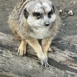 Parc Merveilleux - Belvaux