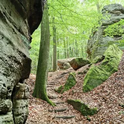 Mullerthal Trail - Bereldange