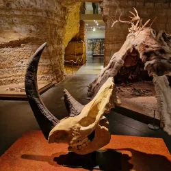 National Museum of History and Art - Bereldange