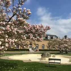 Walferdange Castle - Bereldange