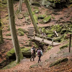 Cycling and Hiking Trails - Bertrange