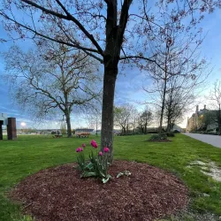 Parc Mamer - Bertrange