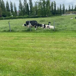 Parc Mamer - Bertrange