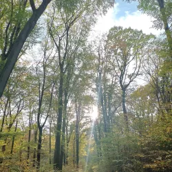 Bettembourg Nature Reserve - Bettembourg