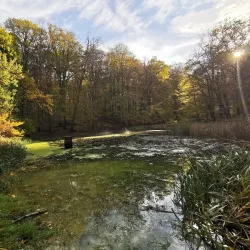 Bettembourg Nature Reserve - Bettembourg