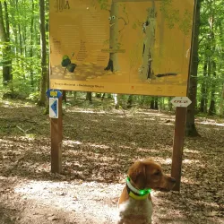 Bettembourg Nature Reserve - Bettembourg