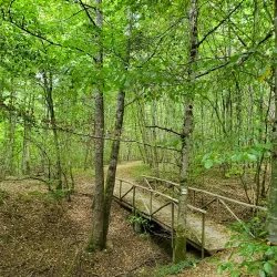 Bettembourg Nature Reserve - Bettembourg