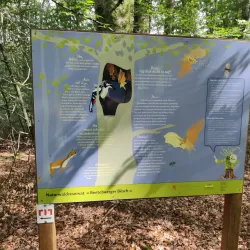 Bettembourg Nature Reserve - Bettembourg