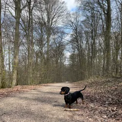 Bettembourg Nature Reserve - Bettembourg