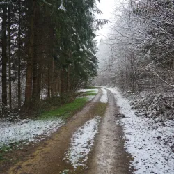 Bissen Nature Trails - Bissen