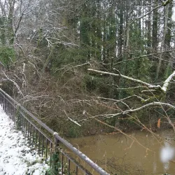 Bissen Nature Trails - Bissen