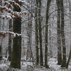 Bissen Nature Trails - Bissen