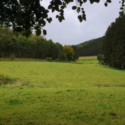 Hiking Trails in the Ardennes - Clervaux