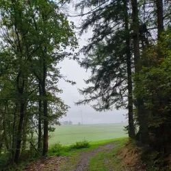 Hiking Trails in the Ardennes - Clervaux