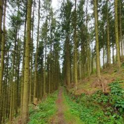 Hiking Trails in the Ardennes - Clervaux