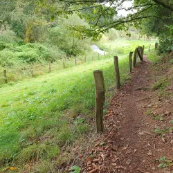 Hiking Trails in the Ardennes - Clervaux