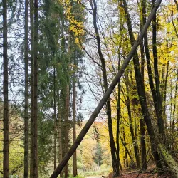 Hiking Trails in the Ardennes - Clervaux